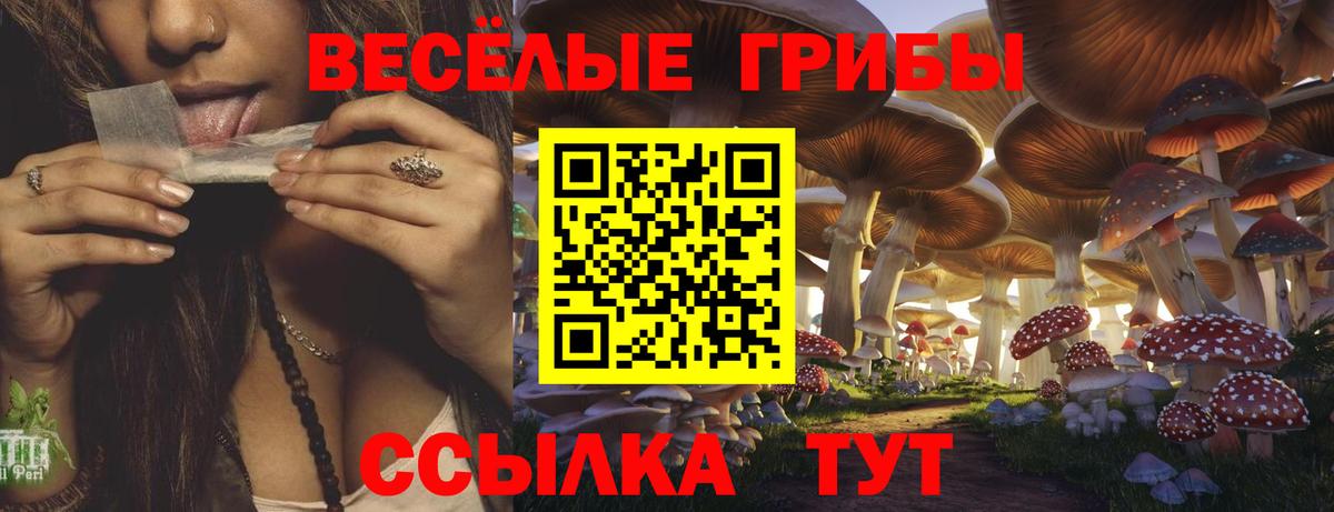 Торжок  Псилоцибиновые грибы GOLDEN TEACHER  дарнет шоп  Вход с VPN 